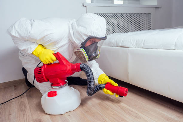 Reliable Claysburg, PA Pest Control Solutions