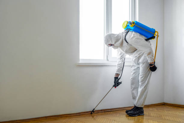 Insect Control in Claysburg, PA
