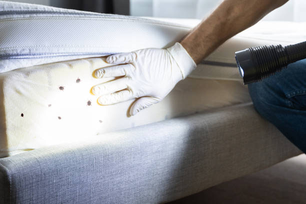 Best Insect Control  in Claysburg, PA